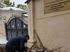 Муниципальные советники от ПСРМ предлагают использовать упавшие деревья в качестве дров для малоимущих граждан 