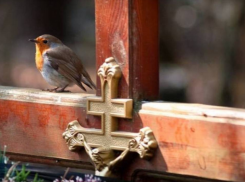 На Родительский день все кладбища Кишинева будут закрыты