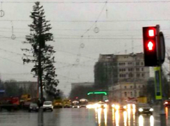 Сильвия Раду приказала срочно убрать «поломанную» украинку и наказать саботажников