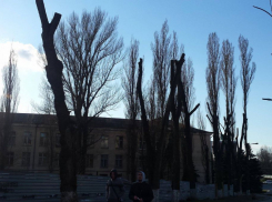 Как выглядит бульвар Штефана чел Маре после вырубки многих деревьев