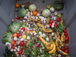 Молдаване выбрасывают 76 килограмм продуктов в год
