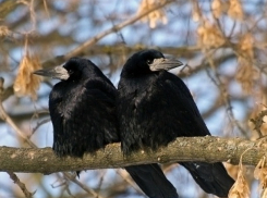 В воскресенье в Молдове будет тепло и без осадков