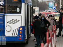 Полиция усилит борьбу с автомобилями, ездящими по полосам для общественного транспорта