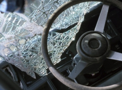 Смертельный таран дерева совершил во Флорештах 27-летний мужчина 