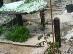 Град можно было собирать лопатой: жители Каушан рассказали об ужасных последствиях стихии