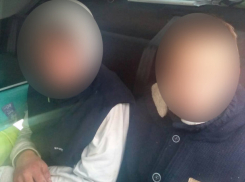 Попытку бегства из страны на украденной лошади предприняли двое подростков 