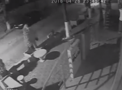 Вслед за бордюрами в Кишиневе начали воровать и декоративные деревья 