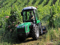 Молдавские фермеры получили 900 миллионов леев помощи от государства