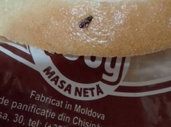 Продукты с жуткой начинкой от фабрики «Франзелуца» возмутили кишиневцев