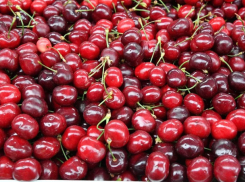Черешня в Молдове под ударом: Урожай упал вдвое из-за заморозков
