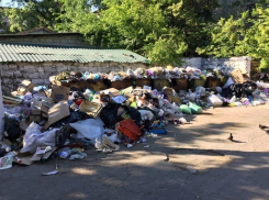 «Мерзко пахнущие» горы мусора в Кишиневе запечатлели возмущенные горожане