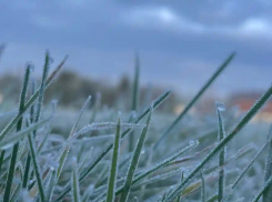 В Молдове ожидаются “майские заморозки”