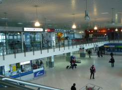 Владельца Interauto задержали в аэропорту с крупной суммой денег 