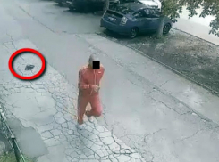 Попытка ограбить мужчину посреди улицы оказалась для вора неудачной 