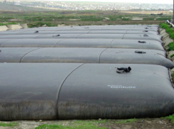 Зловонный запах из-за жары сделал невозможной жизнь многих кишиневцев