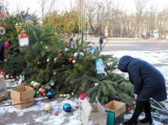Украинцы повалили на землю и разграбили главную новогоднюю ёлку города