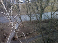 Во вторник в Молдове будет тепло и облачно: ветер слегка утихнет