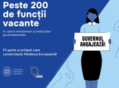 Правительство ищет сразу 200 сотрудников