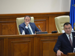 Парламент уходит на каникулы 23 декабря 
