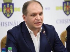 Примар Кишинева поручил проверить законность массовой вырубке деревьев в парке «Ла Извор»