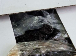 Женщину из Молдовы с черносливом наказали румынские пограничники