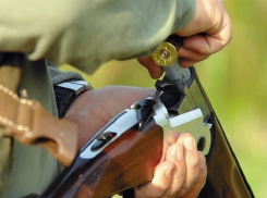 Украинский политик обстрелял энергетиков за обрезку деревьев под Одессой