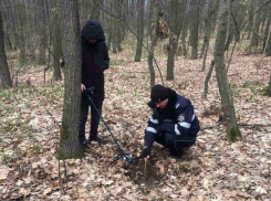 Полиция установила личности вандалов, убивших благородного оленя в заповеднике «Кодры»