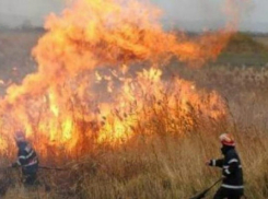 В минувшие 24 часа ликвидированы 37 возгораний растительности