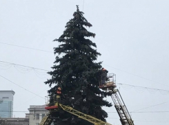В Кишиневе начали украшать главную новогоднюю елку