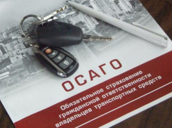 Рассчитать взносы автострахования теперь можно онлайн 