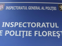 Жестокое нападение в Фалештах: 19-летний парень избил 72-летнего пенсионера до потери сознания