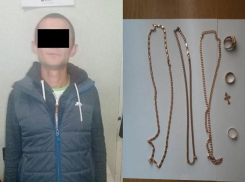 Квартирного вора схватили в столице и показали на видео 