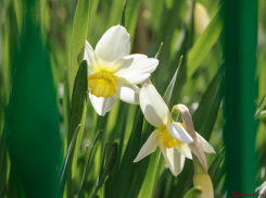 В четверг в Молдове ожидается морозная ночь и по-летнему теплый день 