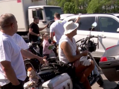 Добрые дела. Около сотни мотоциклистов убирал мусор у реки Бык