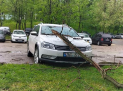 Несколько машин получили повреждения из-за падающих деревьев