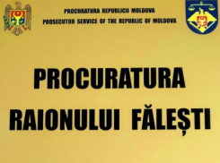 Жительница Фалешт обманула полицию о краже и стала фигуранткой уголовного дела