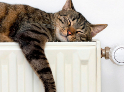 В Кишиневе без отопления остаются 1 500 многоквартирных домов 