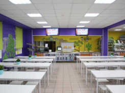 Правительство не хочет кормить детей в школах