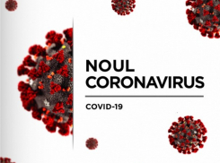 Срочно! +639 новых случаев заражения Covid-19