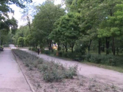 Власти отказывают в установке мусорных корзин в парках на том основании, что «там, где корзины, там больше всего мусорят»