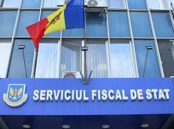 Более 34 млрд леев собрала Налоговая служба с начала года
