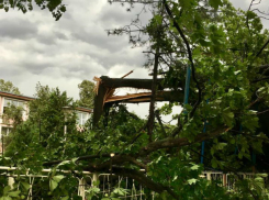 Разбушевавшийся ураган в Кишиневе срывал крыши и валил деревья