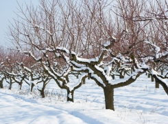 Исчезнувший в Рышканах мужчина написал предсмертную записку и совершил самоубийство