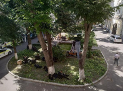 Полицейские мешают мунсоветникам исполнять обязанности, не пуская их в здание примэрии Кишинева