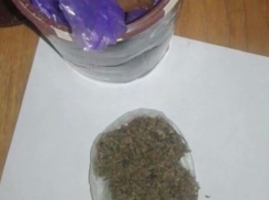 Заключенному тюрьмы «Прункул» принесли мед с наркотиками 