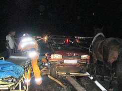 Пять человек пострадали в столкновении автомобиля и телеги в Сынжерейском районе