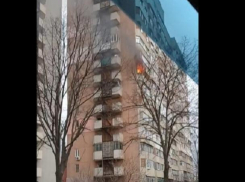Пожар на Чеканах - сообщаются новые подробности