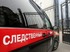 Следствие по делу молдаванина, убившего сожительницу и ранившего ножом ее дочь в России, завершено