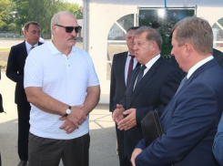 Мы вычленим людей и дадим каждому лопату в зубы: Лукашенко объявил войну тунеядцам 