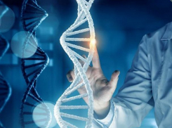 Жертв терактов и преступников с 1 января будут легче идентифицировать в Молдове